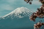 Snow-capped Mount Fuji with out of focus cherry blossoms in the foreground