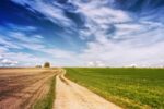 A dirt road through two fields. The field on the left is brown and barren, but the field on the right is lush and green.